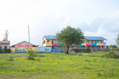 Alma Gardens plots with a colourful school building in the background