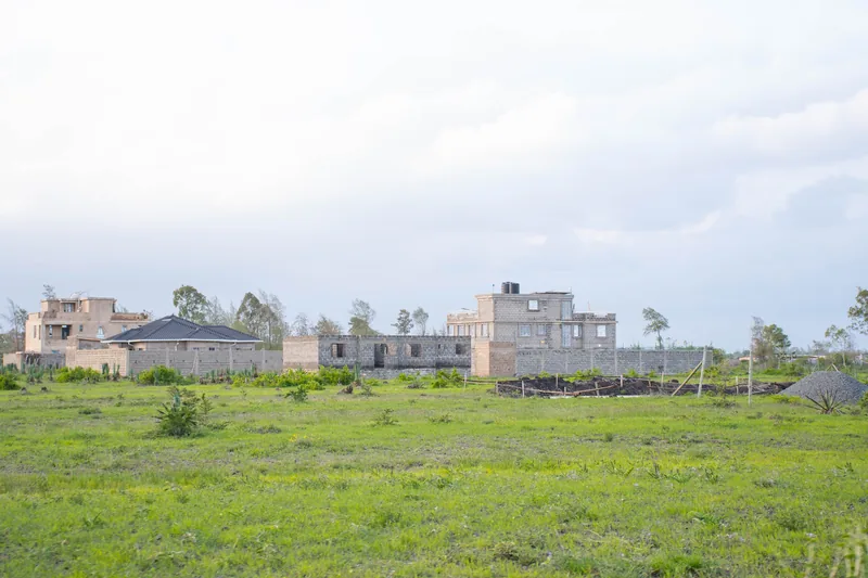 Level grassland plots at Alma Gardens, Jujafarm