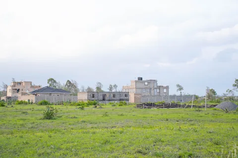 Level grassland plots at Alma Gardens, Jujafarm