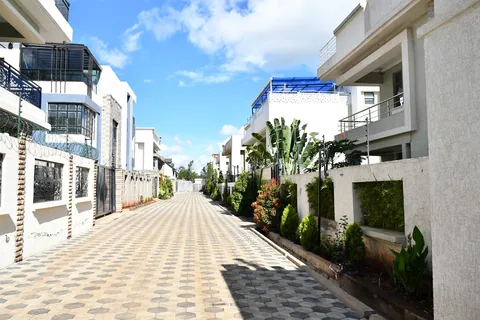 Landscaped estate road between contemporary Crimson Bay villas